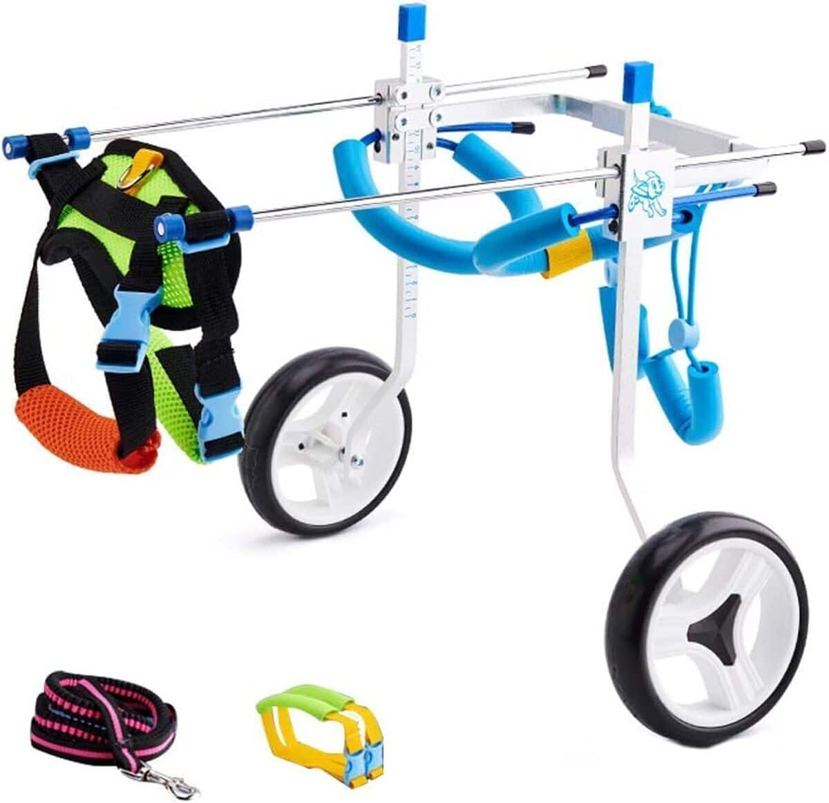 Test du fauteuil roulant pour chiens handicapés : mobilité et support ajustable