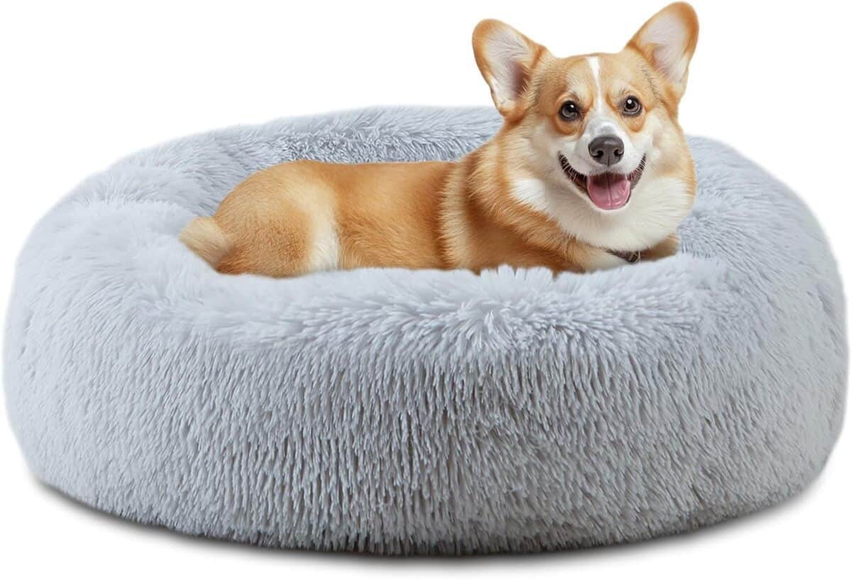 Test du panier pour chien ELSKER&HOME gris 30 pouces